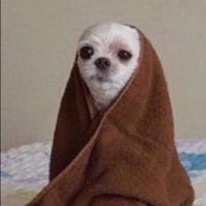 Meet your Posher, Kim